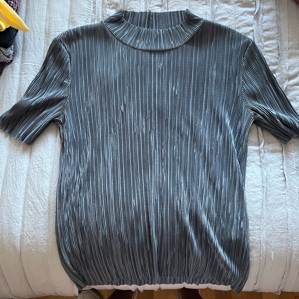 Small Zara turtle neck silky t-shirt.